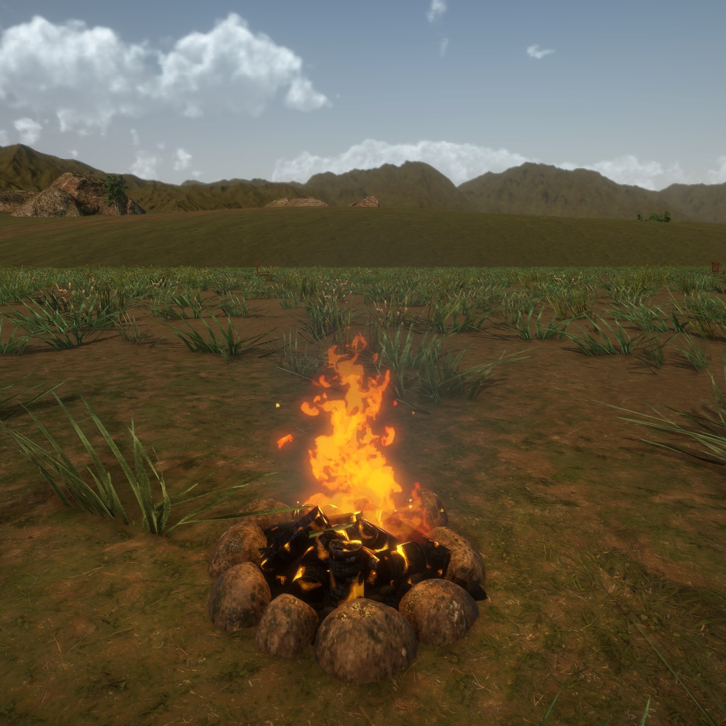 Campfire Large.jpg
